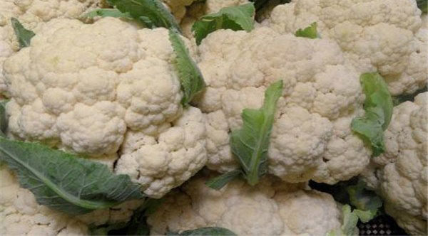 ������Ҫ��ʲô ������Ҫ������ЩӪ��